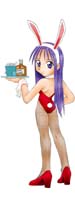 ウェイトレスバニーさん